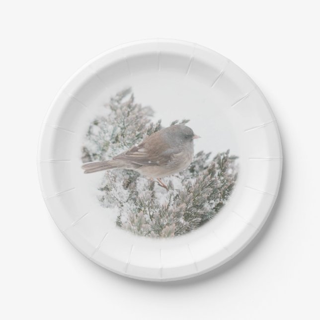 Assiettes En Carton Plaque de papier pour oiseaux d'hiver (Devant)