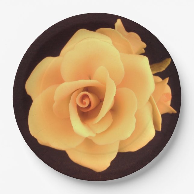 Assiettes En Carton Plaque de papier rose jaune (Devant)