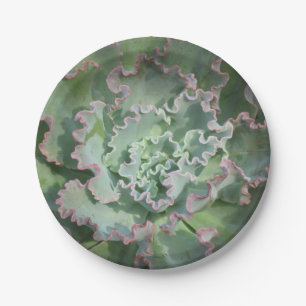 Assiettes En Carton Plaque de papier succulente