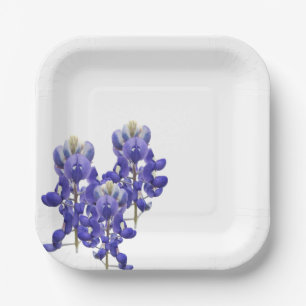 Assiettes En Carton Plaque de papier Texas Bluebonnet
