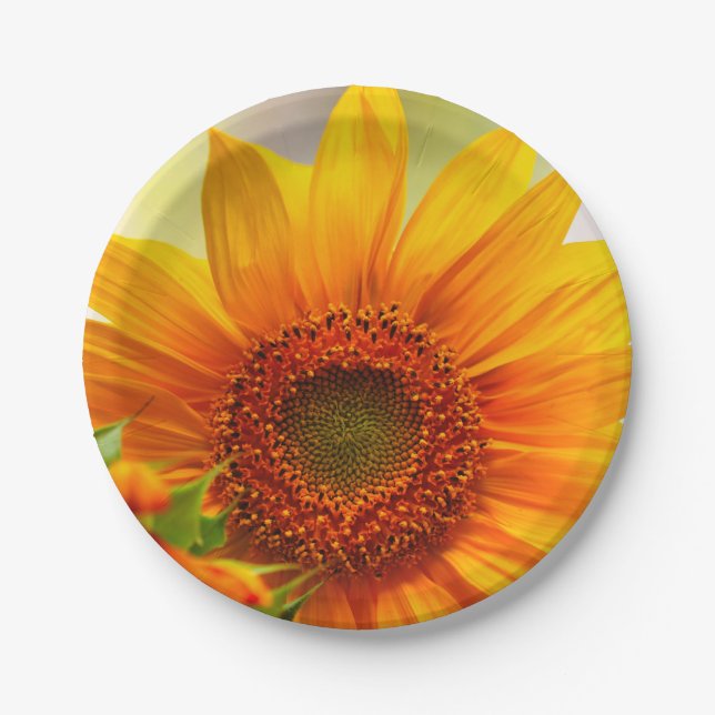 Assiettes En Carton Plaque de papier tournesol (Devant)