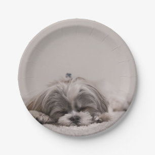 Assiettes En Carton Plaque de tzu Shih customisée, chien couché