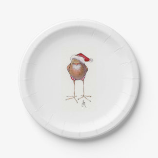Assiettes En Carton Plaque d'oiseau père Noël