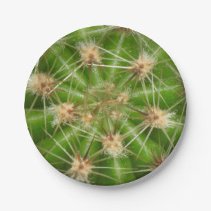 Assiettes En Carton Plaque en papier Cactus