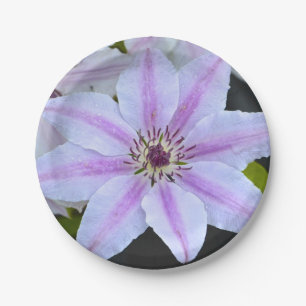 Assiettes En Carton Plaque en papier Clematis
