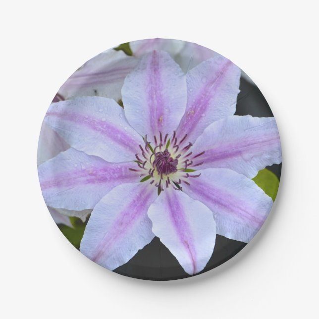 Assiettes En Carton Plaque en papier Clematis (Devant)