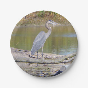 Assiettes En Carton Plaque en papier de Blue Heron