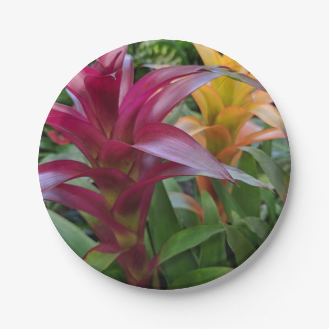 Assiettes En Carton Plaque en papier de bromelière (Devant)