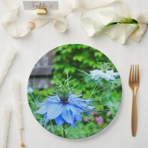 Assiettes En Carton Plaque en papier de Cornflower