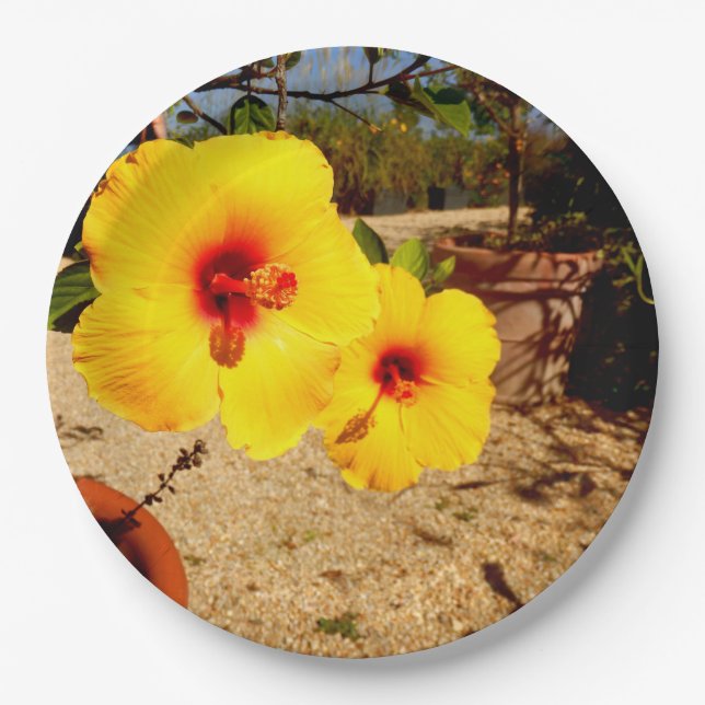 Assiettes En Carton Plaque en papier d'Hibiscus jaune (Devant)