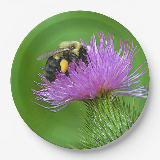 Assiettes En Carton Plaque Papier Abeille Et Chardon (Devant)
