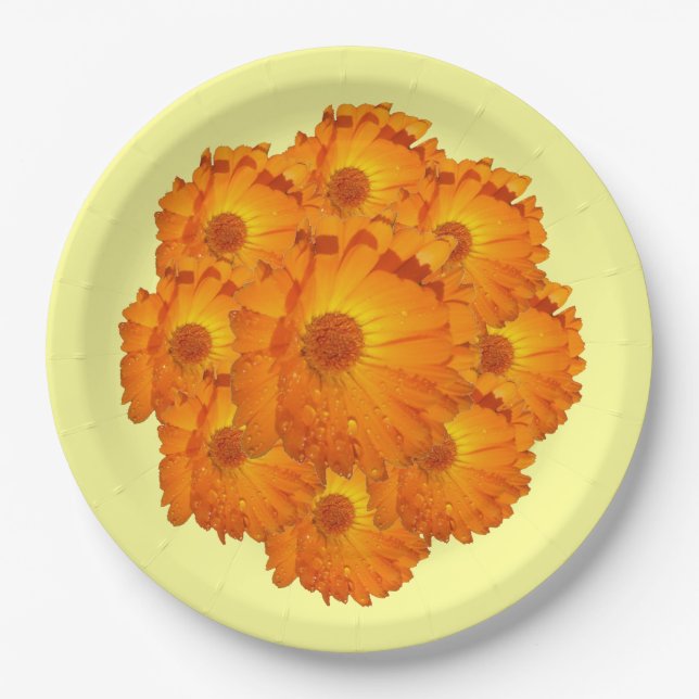 Assiettes En Carton Plaque papier - Flores de Calendula (Devant)