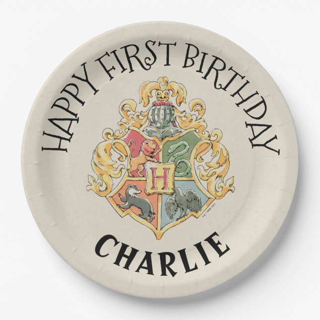Assiettes En Carton Plaque papier Harry Potter premier anniversaire (Devant)