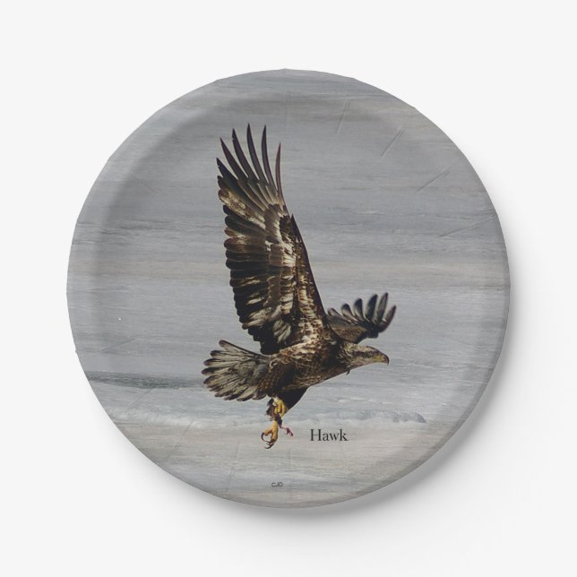 Assiettes En Carton Plaque papier Hawk (Devant)
