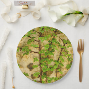 Assiettes En Carton Plaque papier Hydrangea petiolaris
