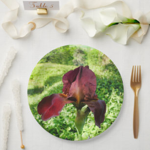 Assiettes En Carton Plaque Papier Iris À Pois