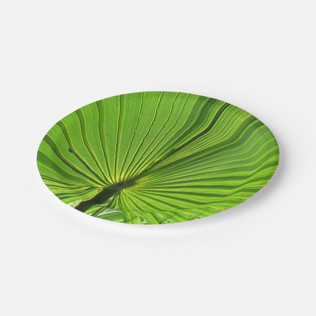 Assiettes En Carton Plaque papier - Palme tropicale (Angle)
