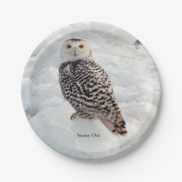 Assiettes En Carton Plaque papier Snowy Owl