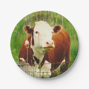 Assiettes En Carton Plaque Papier Vache Cudely