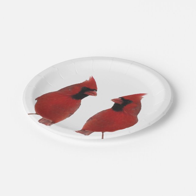 Assiettes En Carton Plaques à papier de cardinaux (Angle)