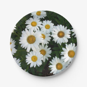 Assiettes En Carton Plaques à papier de plaisir de marguerite