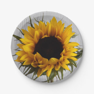 Assiettes En Carton Plaques à papier de tournesol