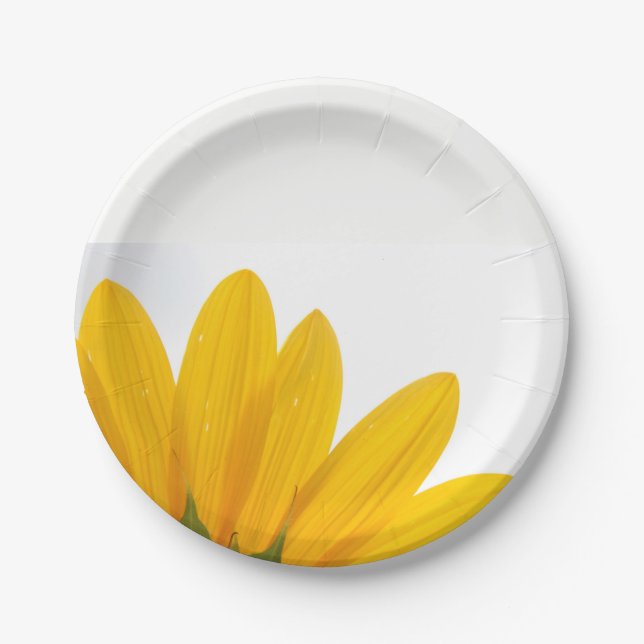 Assiettes En Carton Plaques à papier de tournesol (Devant)