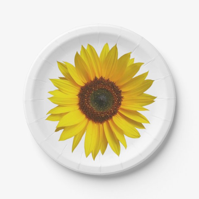 Assiettes En Carton Plaques à papier de tournesol (Devant)