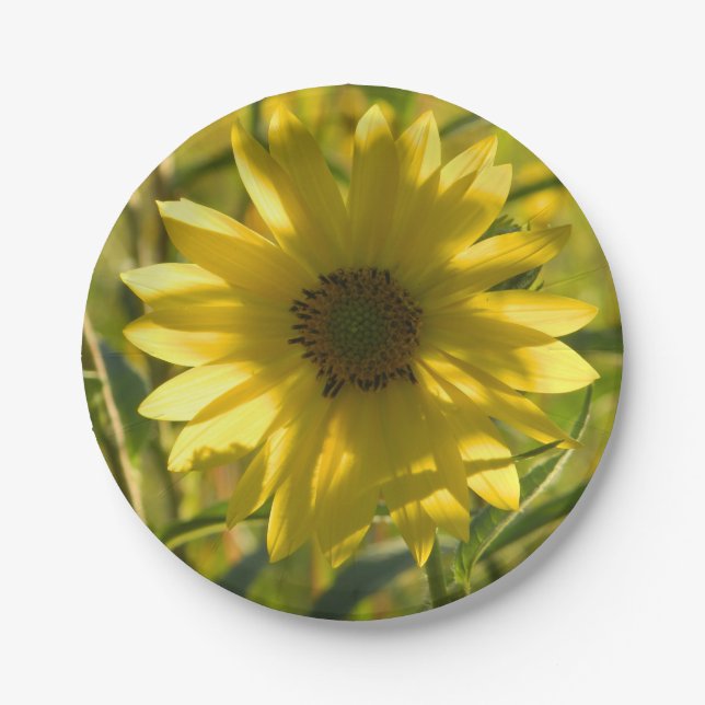 Assiettes En Carton Plaques de papier à brillance de tournesol (Devant)