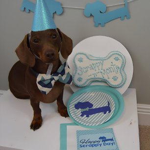 Assiettes En Carton Plaques de papier à papier pour chiens de Dachshun