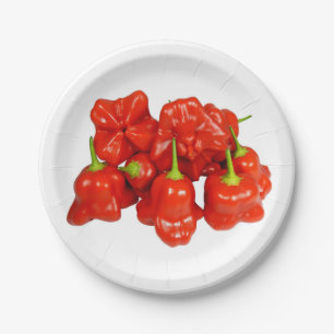 Assiettes En Carton Plaques de papier Capsicum Chinense Chili