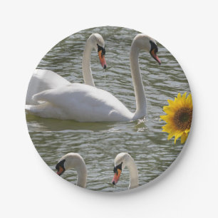 Assiettes En Carton Plaques de papier Cygnes
