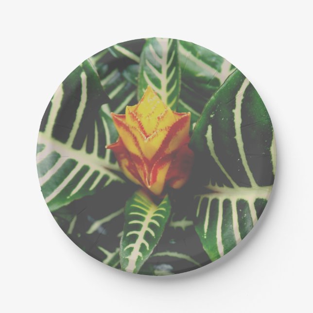 Assiettes En Carton Plaques de papier de partie Vibes tropicales (Devant)