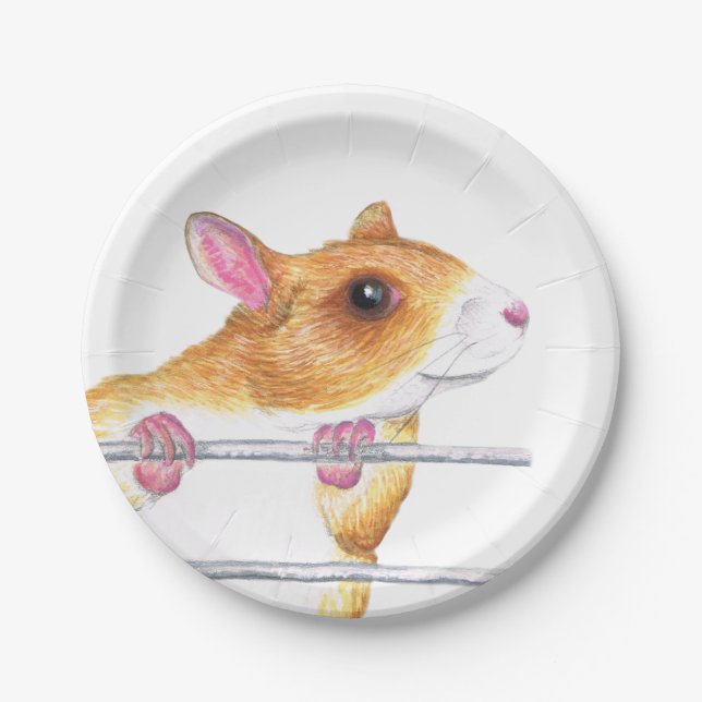 Assiettes En Carton plaques de papier de rat (Devant)