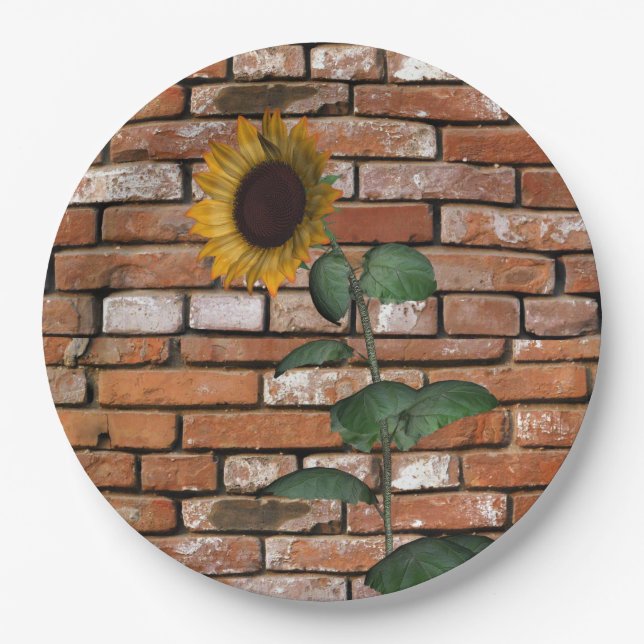 Assiettes En Carton Plaques de papier de tournesol (Devant)