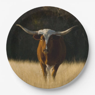 Assiettes En Carton Plaques de papier Longhorn du Texas