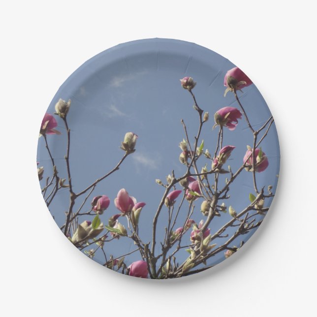 Assiettes En Carton Plaques de papier Magnolia Buds (Devant)