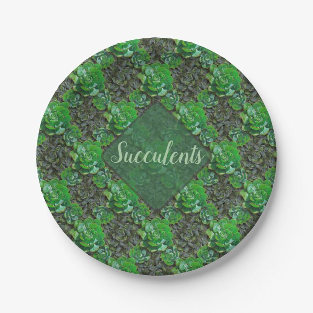 Assiettes En Carton Plaques de papier Motif en treillis vert Succulent (Devant)