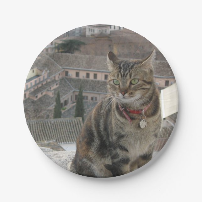Assiettes En Carton Plaques de papier photo pour chat (Devant)
