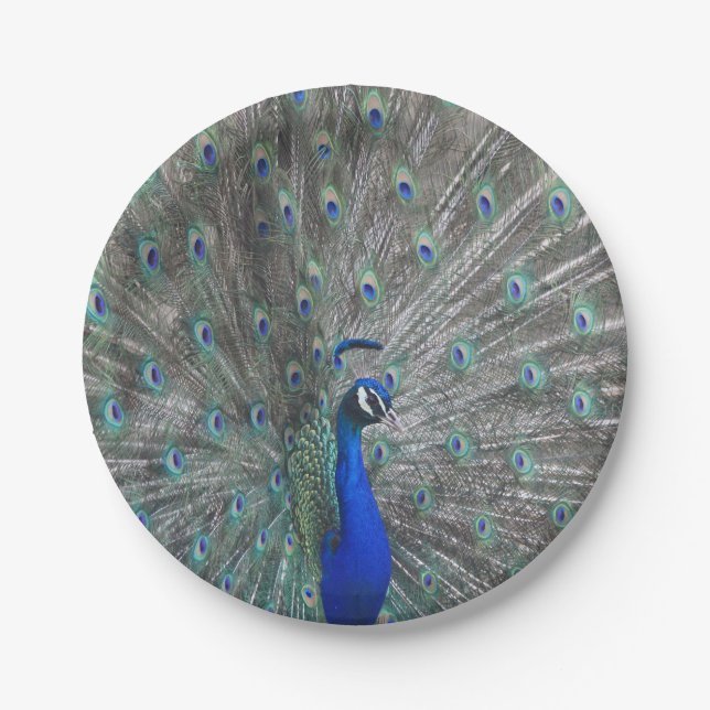 ASSIETTES EN CARTON PLAQUES DE PAPIER PHOTOGRAPHIQUE PEACOCK (Devant)