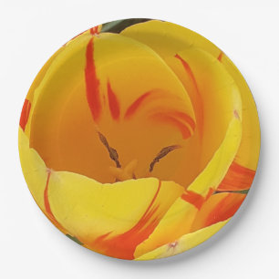 Assiettes En Carton Plaques de papier pour tulipes à ressort