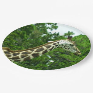 Assiettes En Carton Plaques de papier profil Giraffe