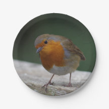 Plaques de papier Robin