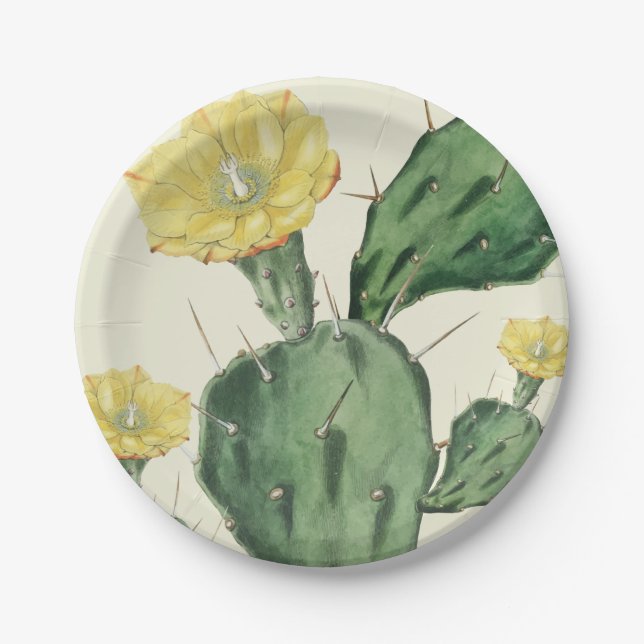 Assiettes En Carton Plaques de papier succulentes (Devant)