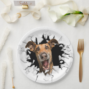 Assiettes En Carton Plaques de papier vissé pour chien amusant