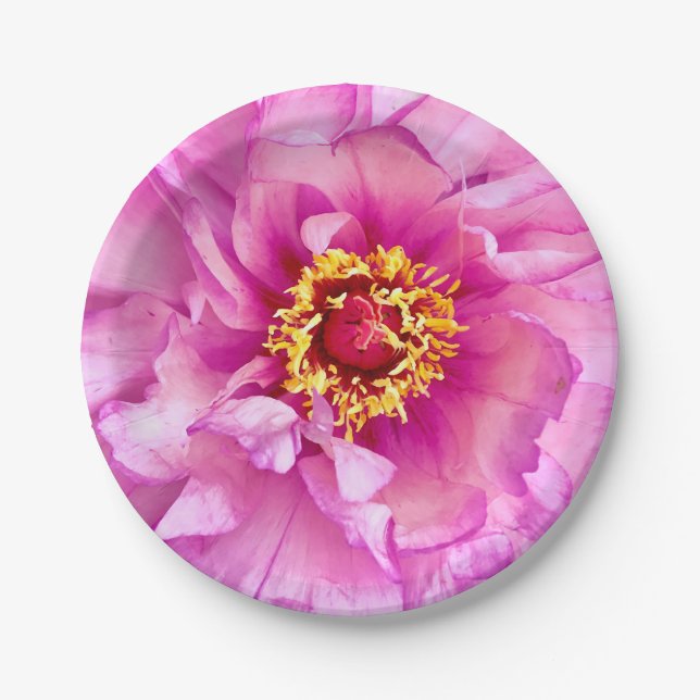 Assiettes En Carton Plaques de pivoine rose, plaque de papier rond de  (Devant)