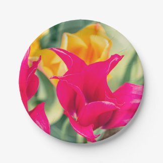 Assiettes En Carton plaques de tulipe uniques