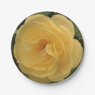 Assiettes En Carton Plaques en papier de camélia jaune