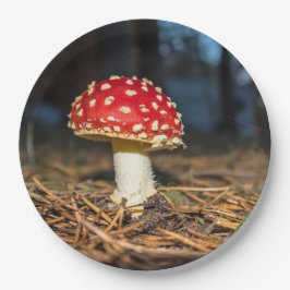 Assiettes En Carton Plaques en papier de champignons rouges