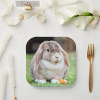 Plaques en papier de lapin à lop